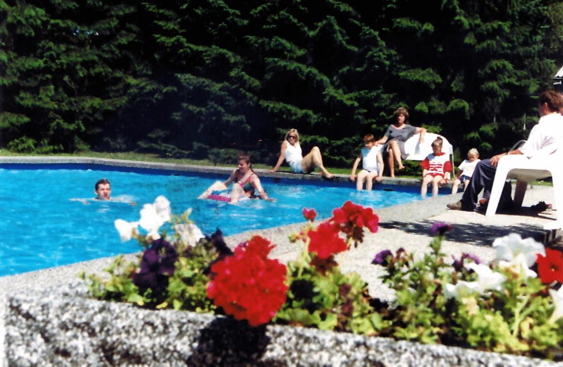 Land-Gut-Hotel Zur Lochmuehle Penig Экстерьер фото